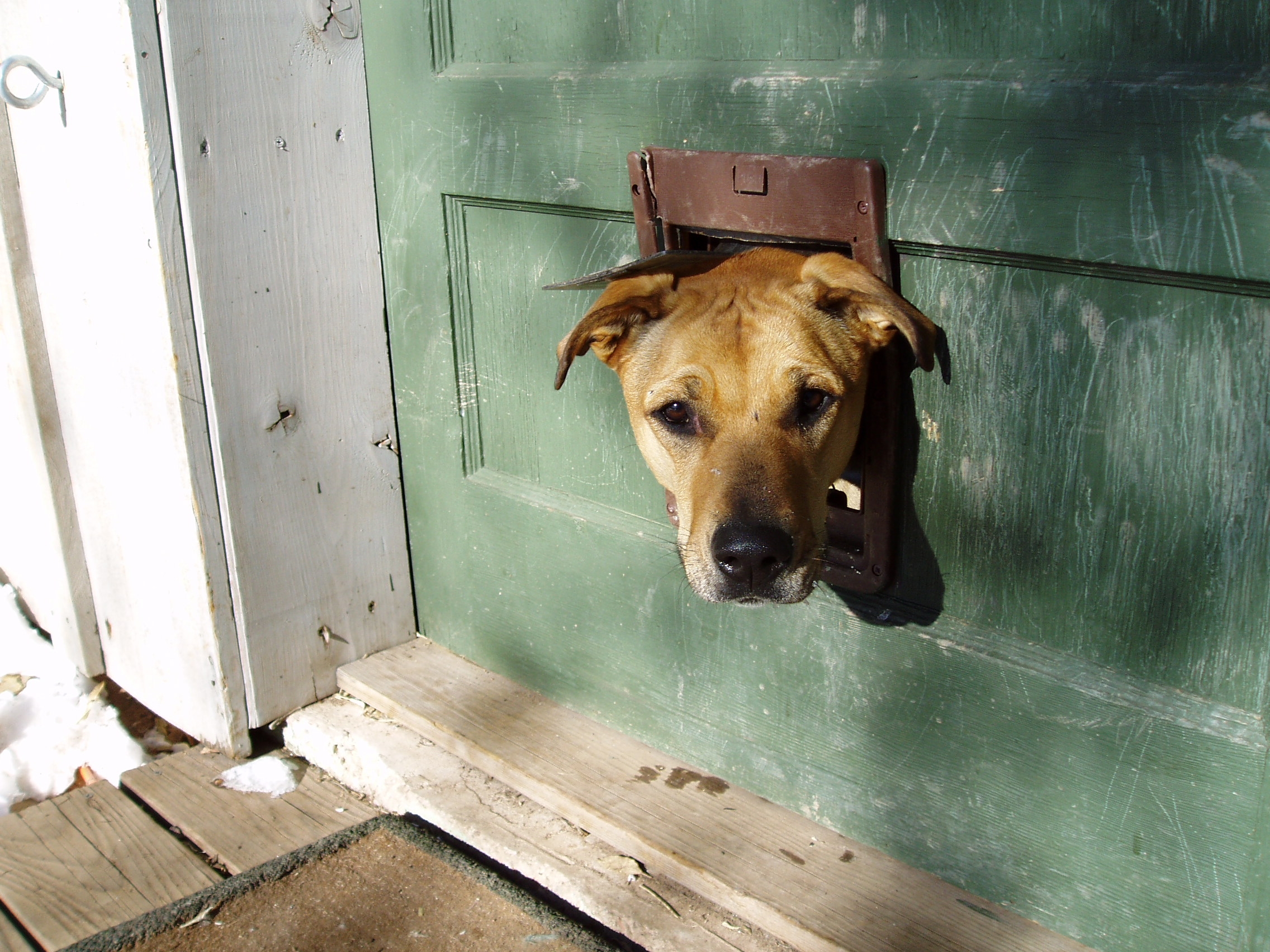 Head in door