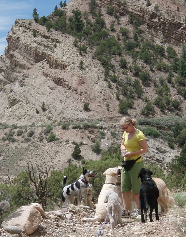 Amelia training dogs on hike