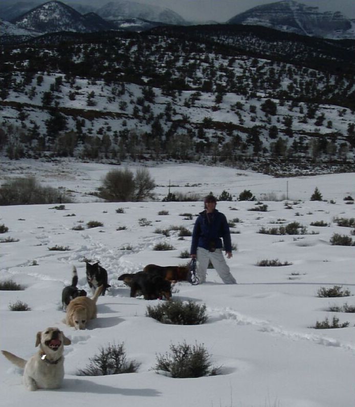 Hiking before snowstrom