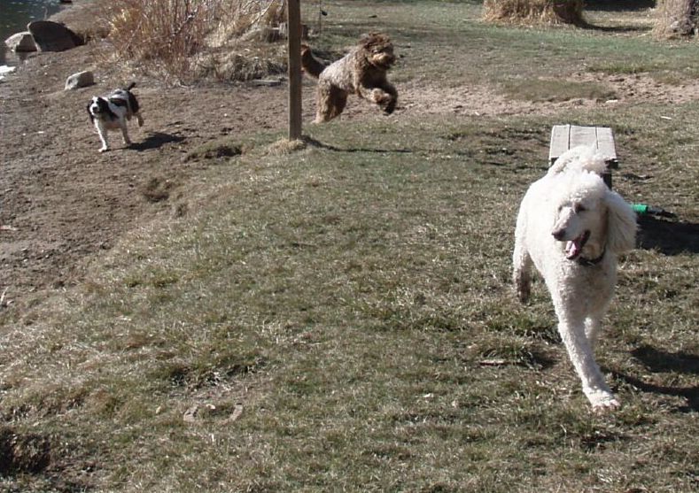 Pure joy at the river