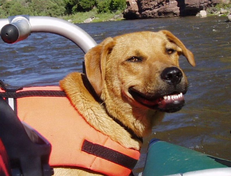 Ted smiling on a boat