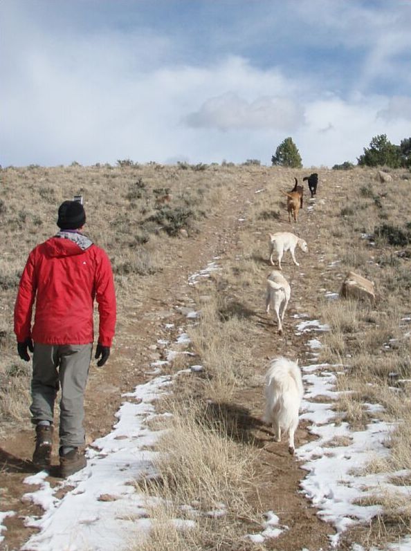 Snowy hike